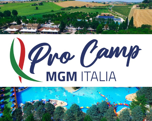 banner_procamp.jpg